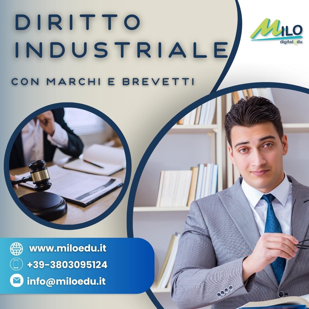 Diritto Industriale